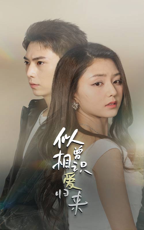 更吹落星如雨